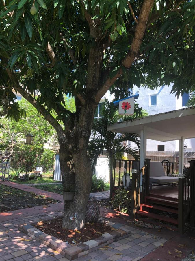 Private Room In The Heart Of Calle Ocho ไมอามี ภายนอก รูปภาพ