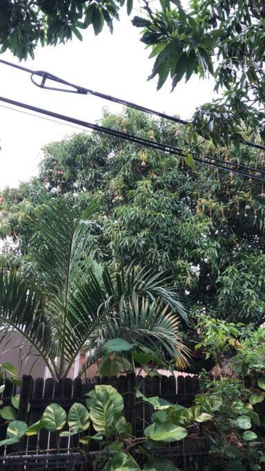 Private Room In The Heart Of Calle Ocho ไมอามี ภายนอก รูปภาพ